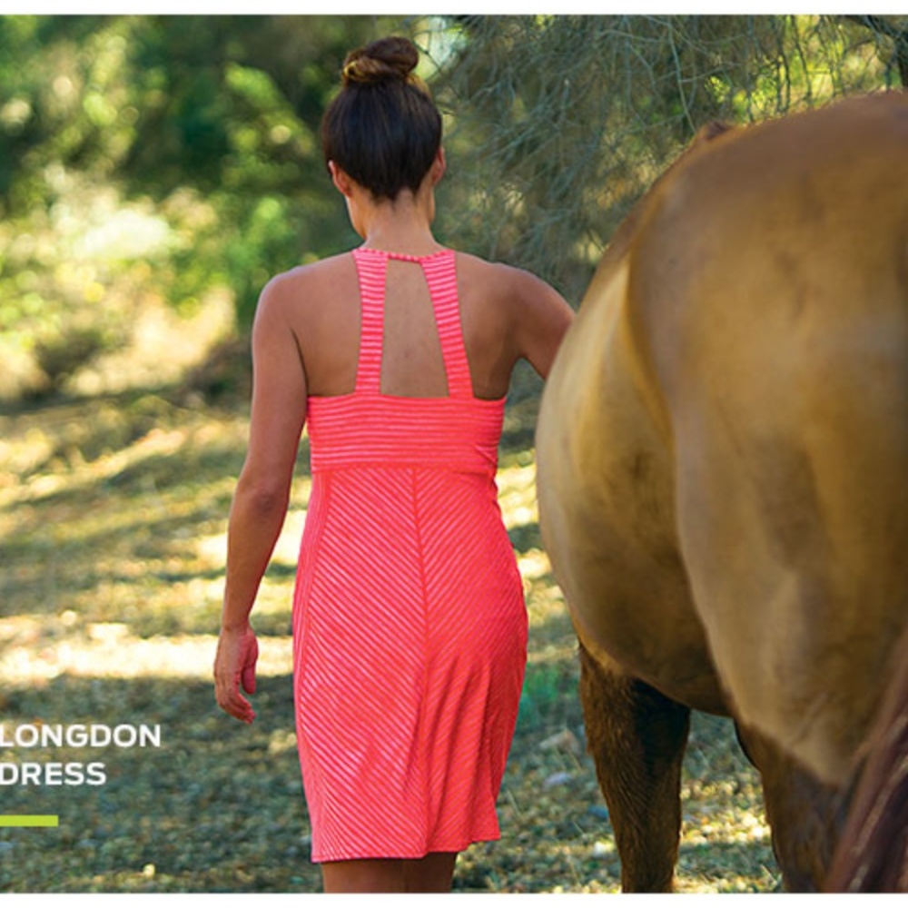 SOLD Title Nine Longdon Dress Small Blue Stripe - Picture 5 of 5